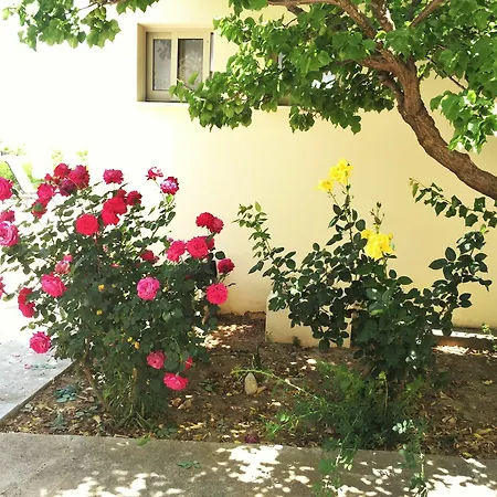 Himonas Pissouri