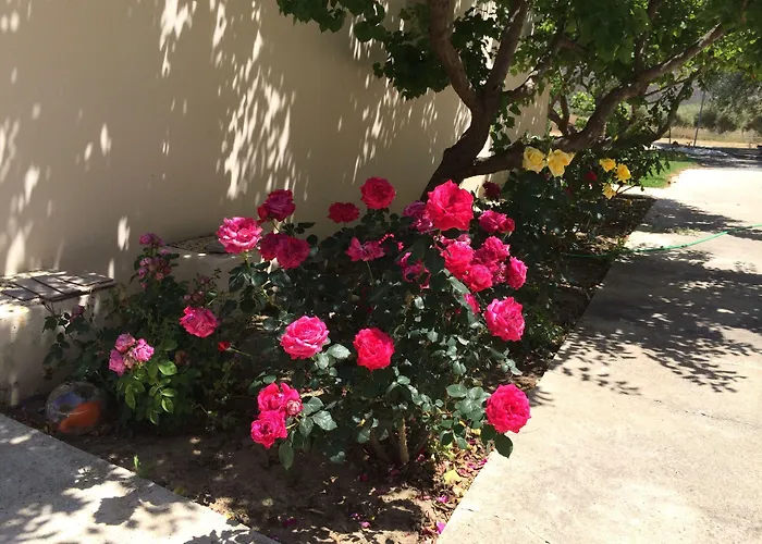 和魔娜斯公寓 公寓 皮斯索里