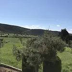Himonas Pissouri
