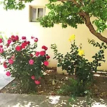 Himonas * Pissouri