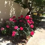 Himonas Apartment Pissouri