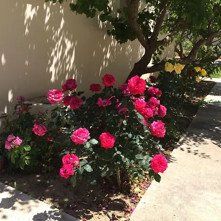 Himonas Apartment Pissouri